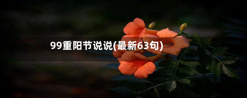 99重阳节说说(最新63句)